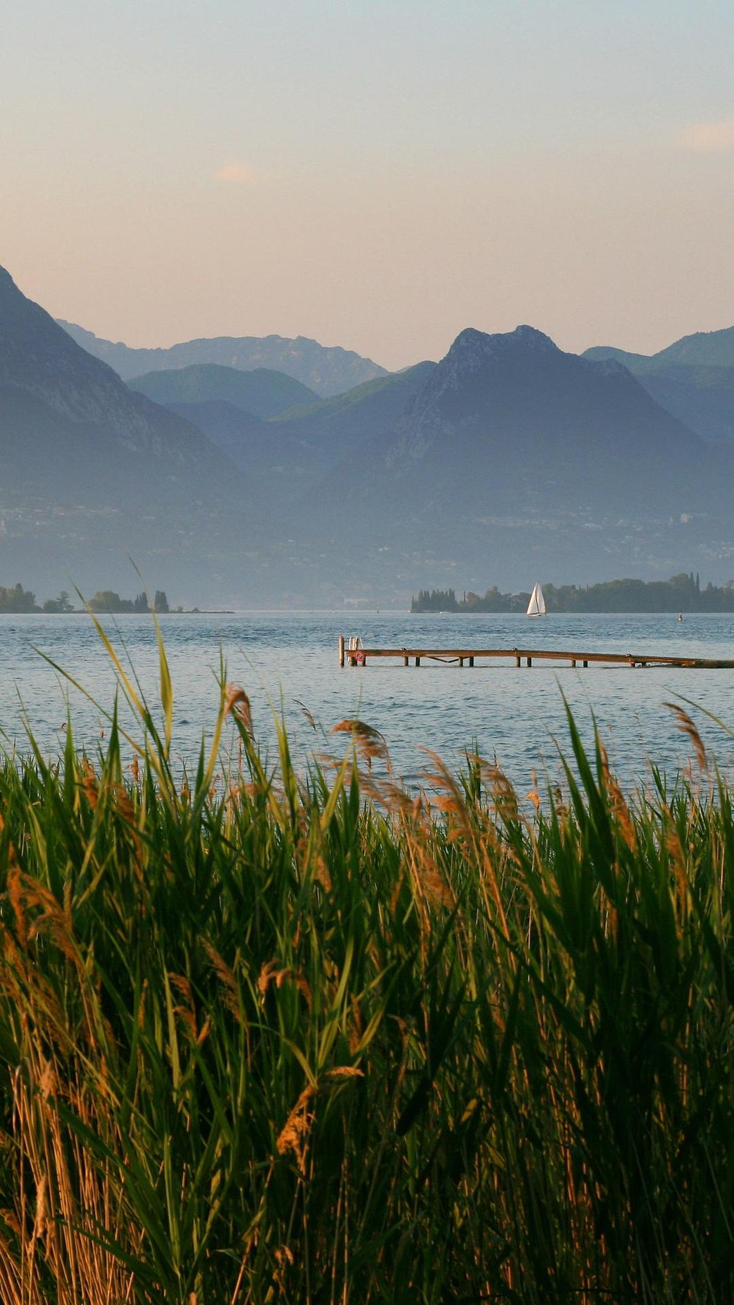 e4c5794288cd32951ddca7c431db971b54b610ab