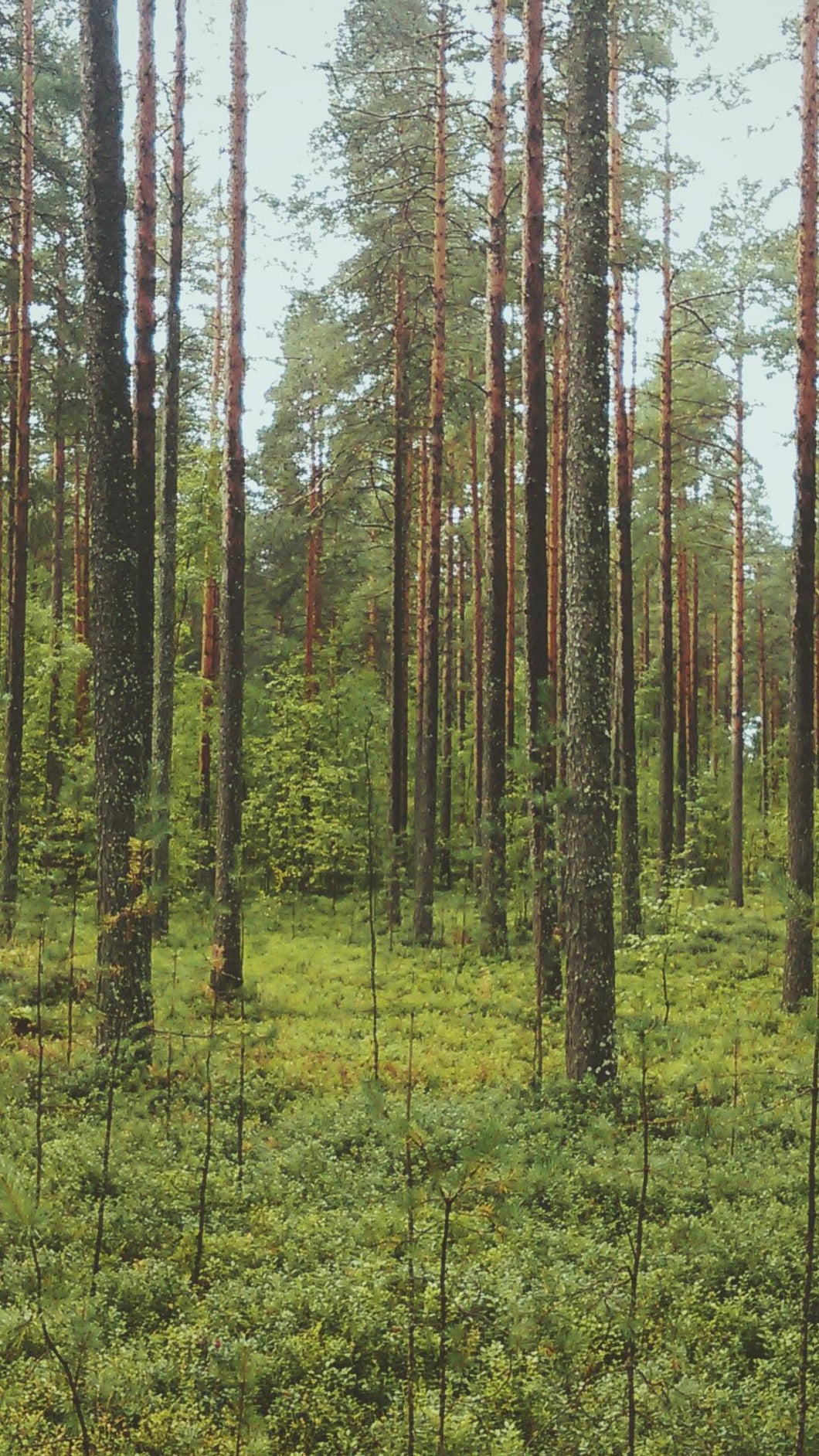 4e638030cfcf77f223a4a4cc9691acfc845cc6f6