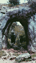 Load image into Gallery viewer, 63b958a843779d91b950fb2997980d5771554aa4
