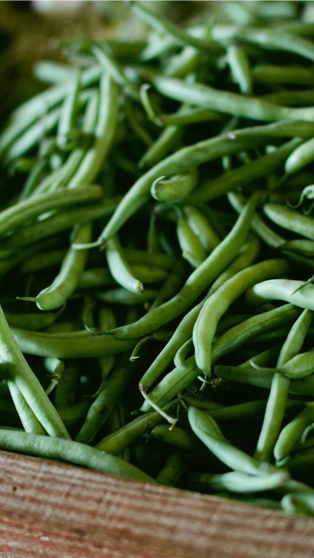 068d632edcbe431e156aae543c440f5c62999627