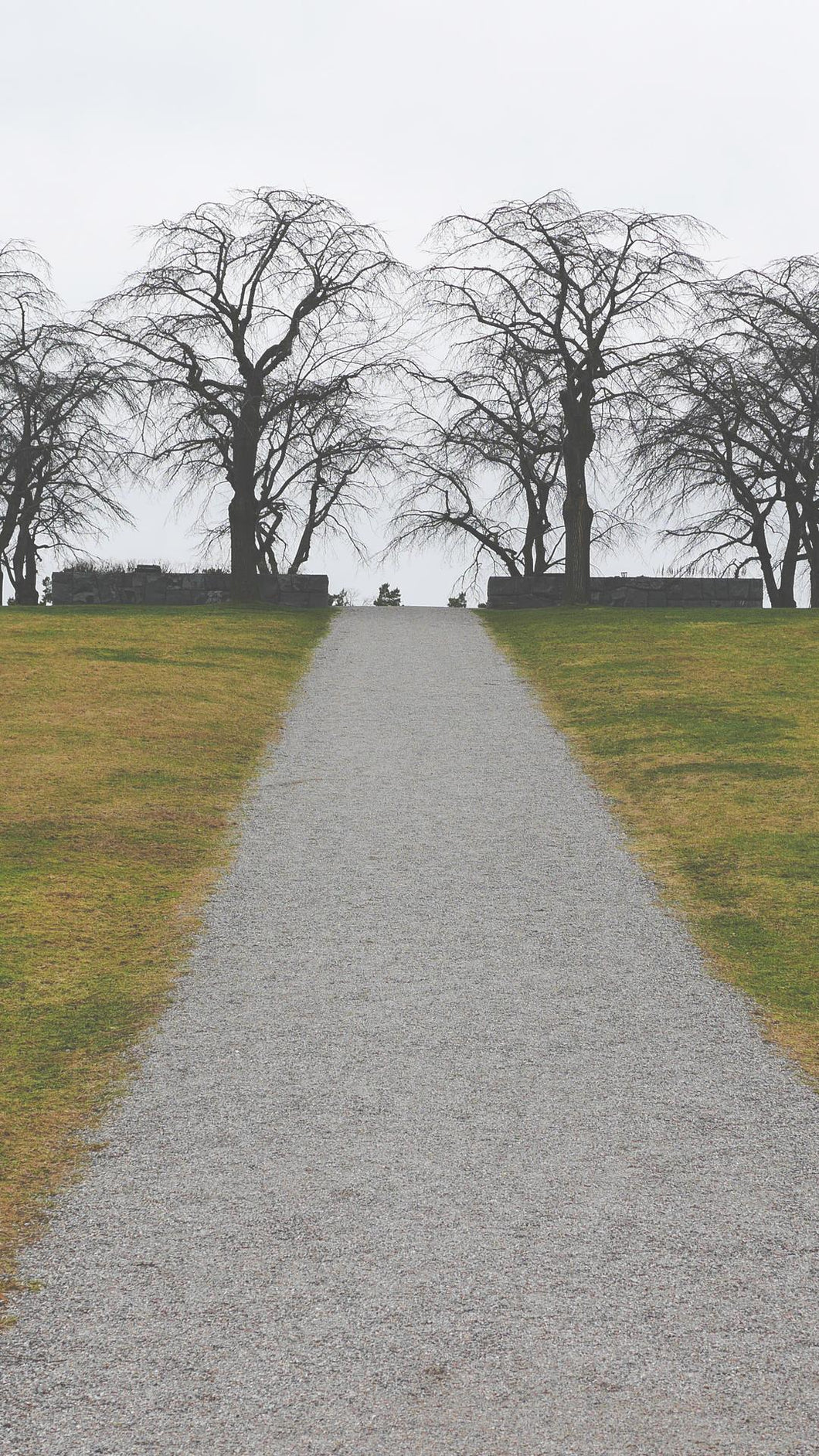 c775d0436de4a119005716cb3a74969657bc76b2