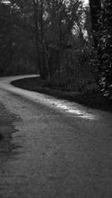 Load image into Gallery viewer, eb7ce952ae339e2e452066e1fa66eccb27a97510
