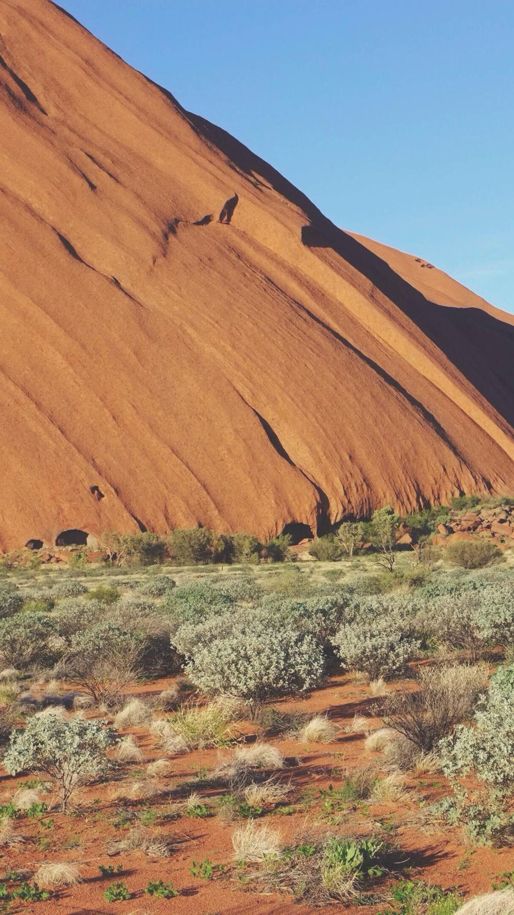 34f13bb3decf39b6849a99c8b82d7b0a911dd06e