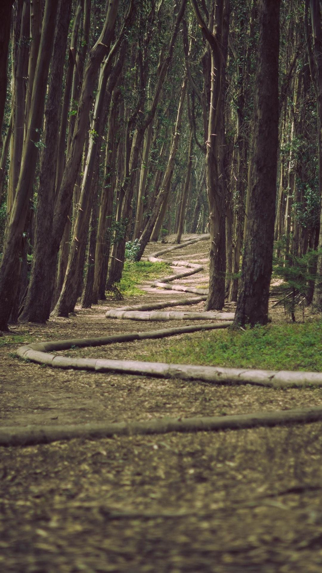 eda2475ee6947aa410e0d615e07f4c773b234376