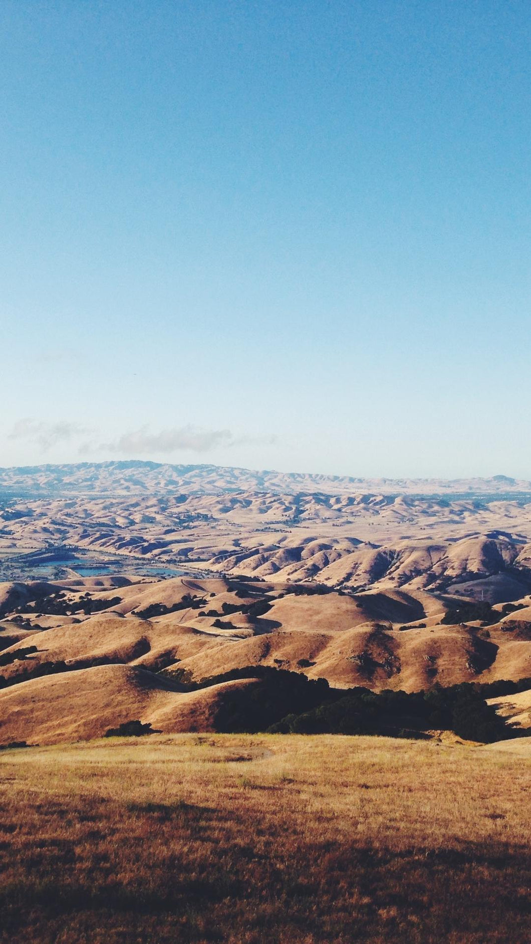 e55b3875ba73aa5b69d6169eba4e276b7fc44f69