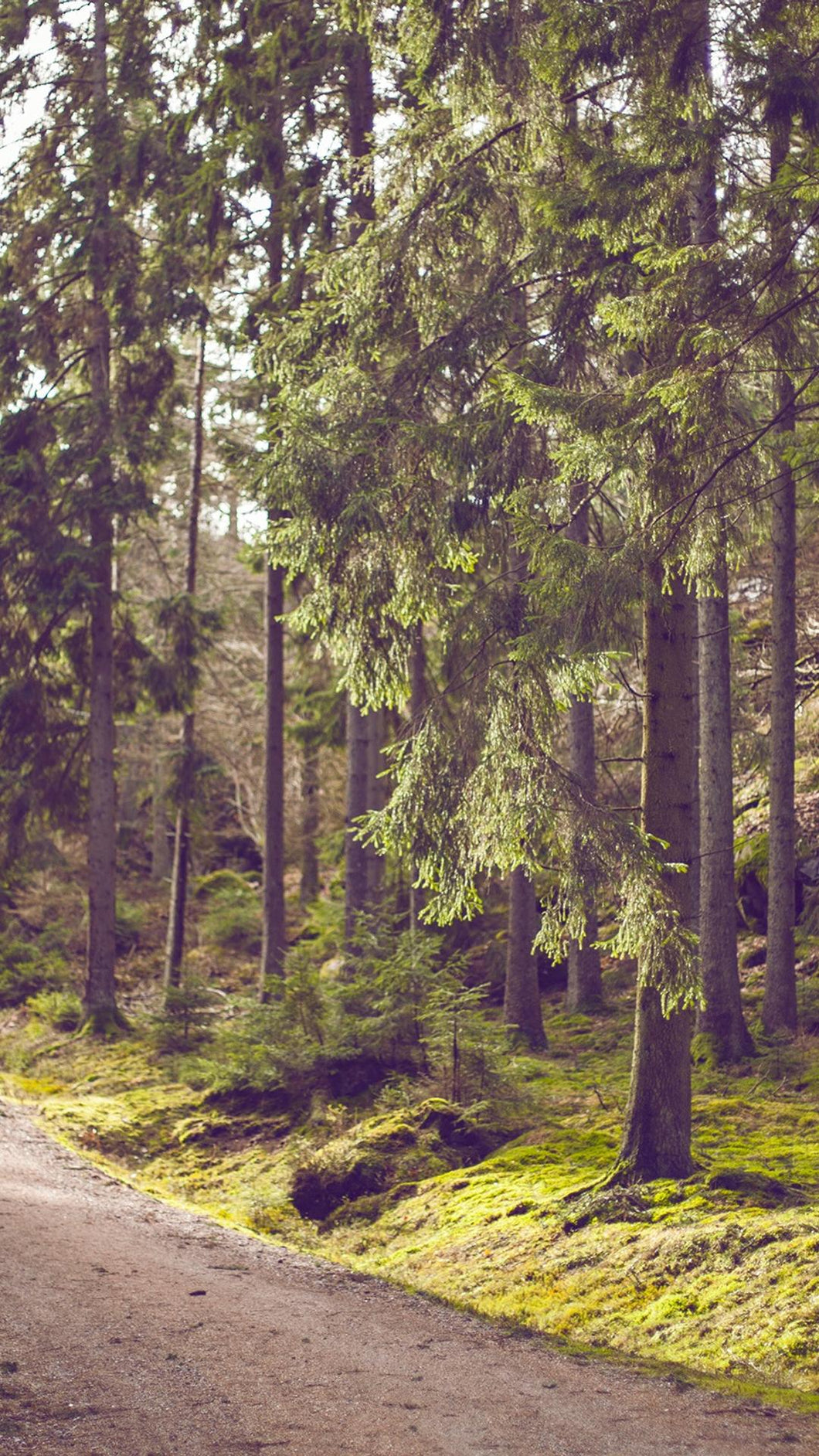 b84371decf9925a0831c1c80744f6952690a3ef4