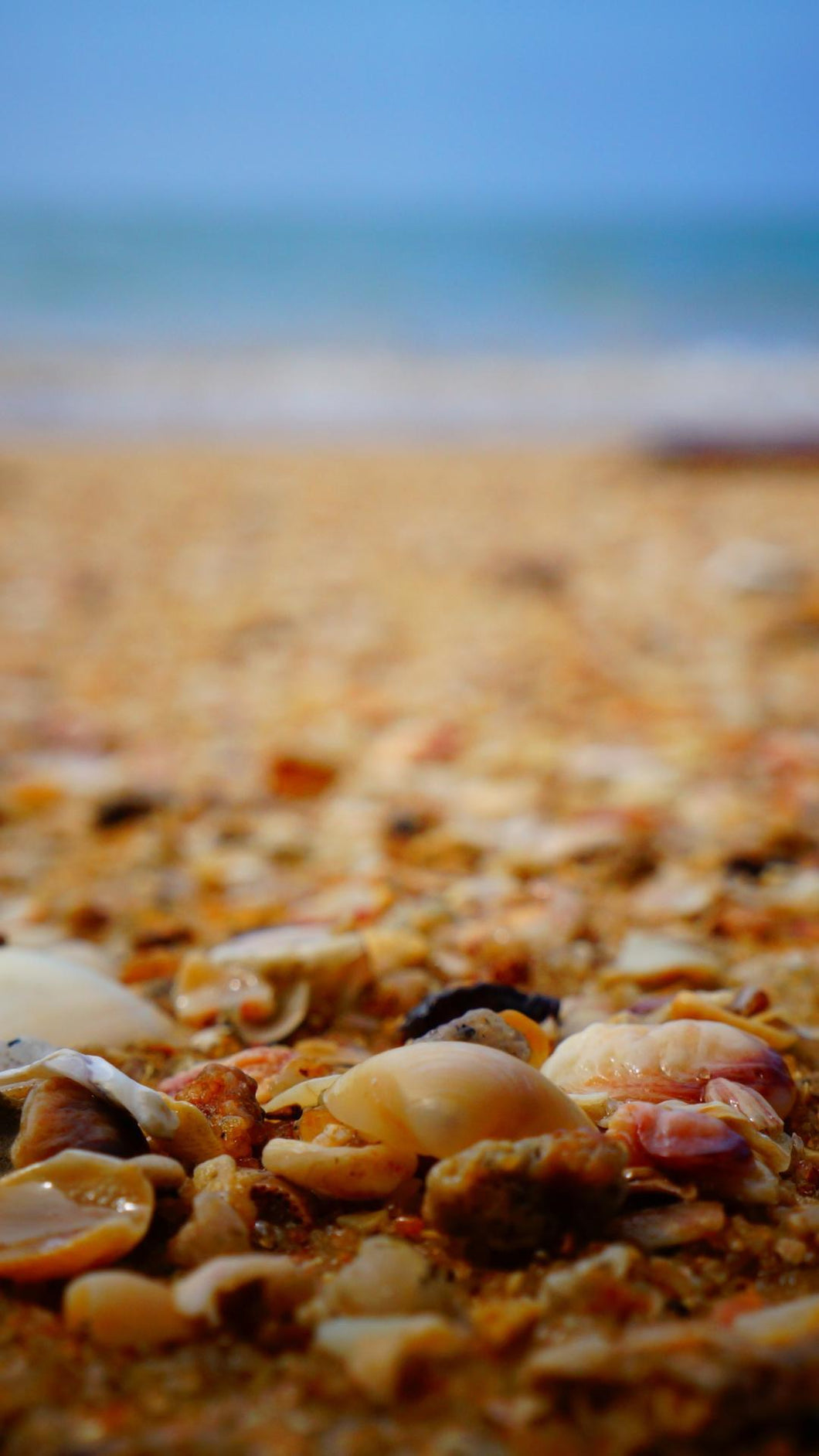 6ea9fb226bb0abb5f8ff574a3945551b6b3e5f85