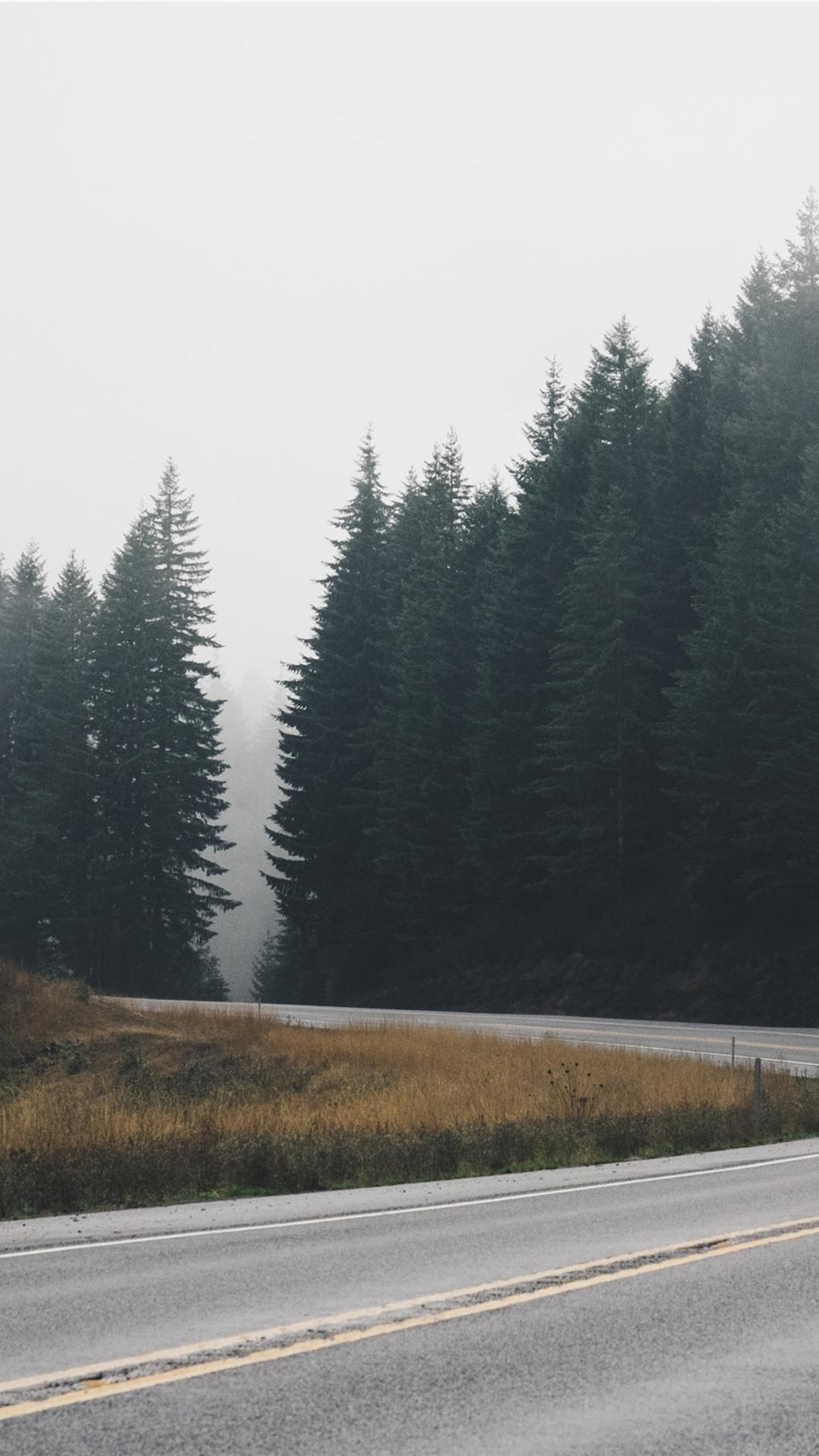 0eb7a804fc368b2358f0dae0a49dd22b6237e9aa