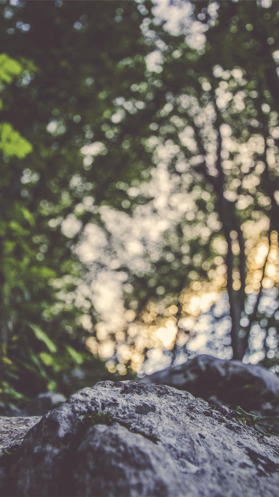 0ccaab1626df0f631a898abdd6998fe5608721ad