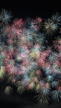 画像をギャラリービューアに読み込む, 15d5543ad45ee209ad10695bf472c44f283293ef
