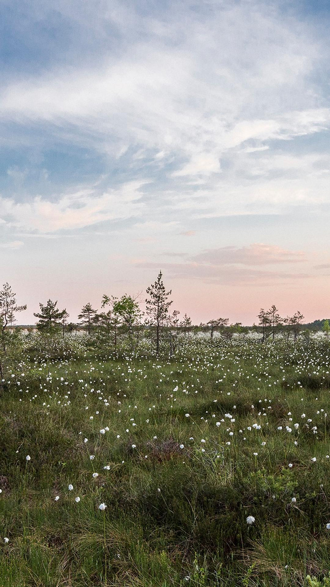 aacc4ef741265da0863b0dc2edb7355560acf4b2