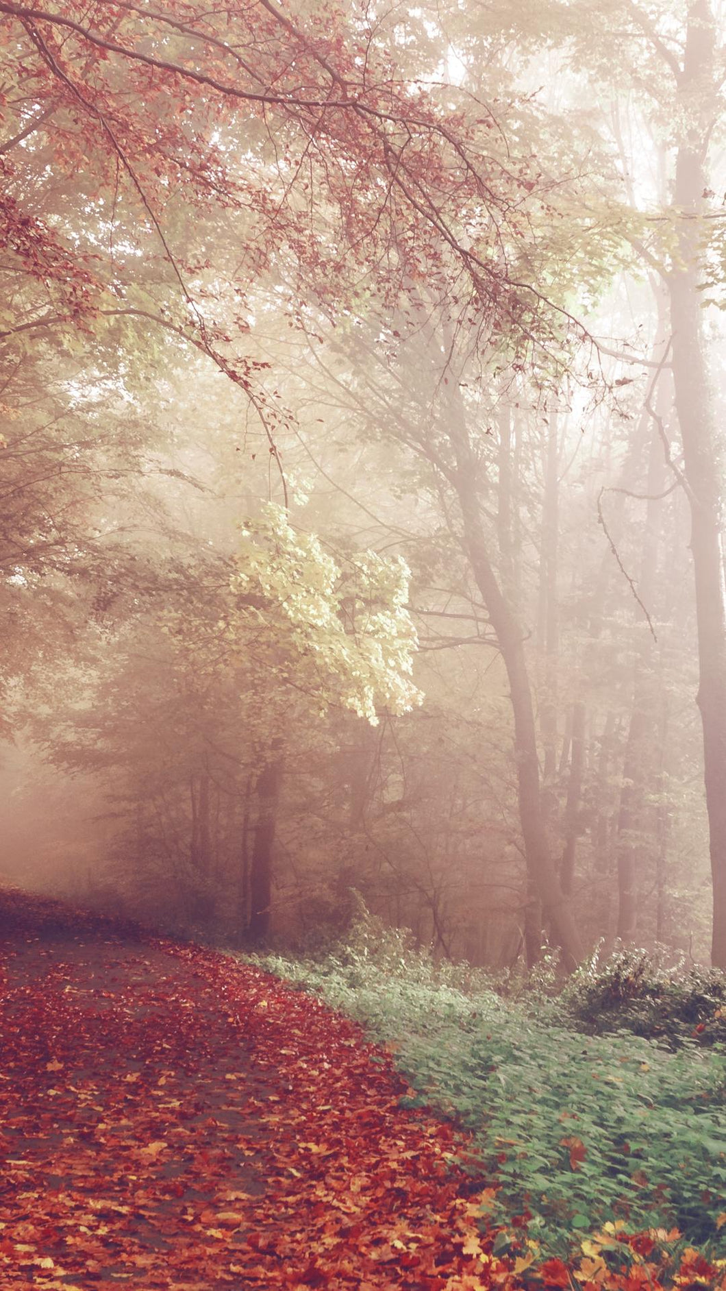 4154df7de725fce595cea9381631786cc9b8cf16