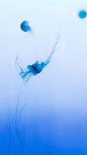 Load image into Gallery viewer, 444a6453ab9ca8b137b37fb30e533c756e7fe9ab
