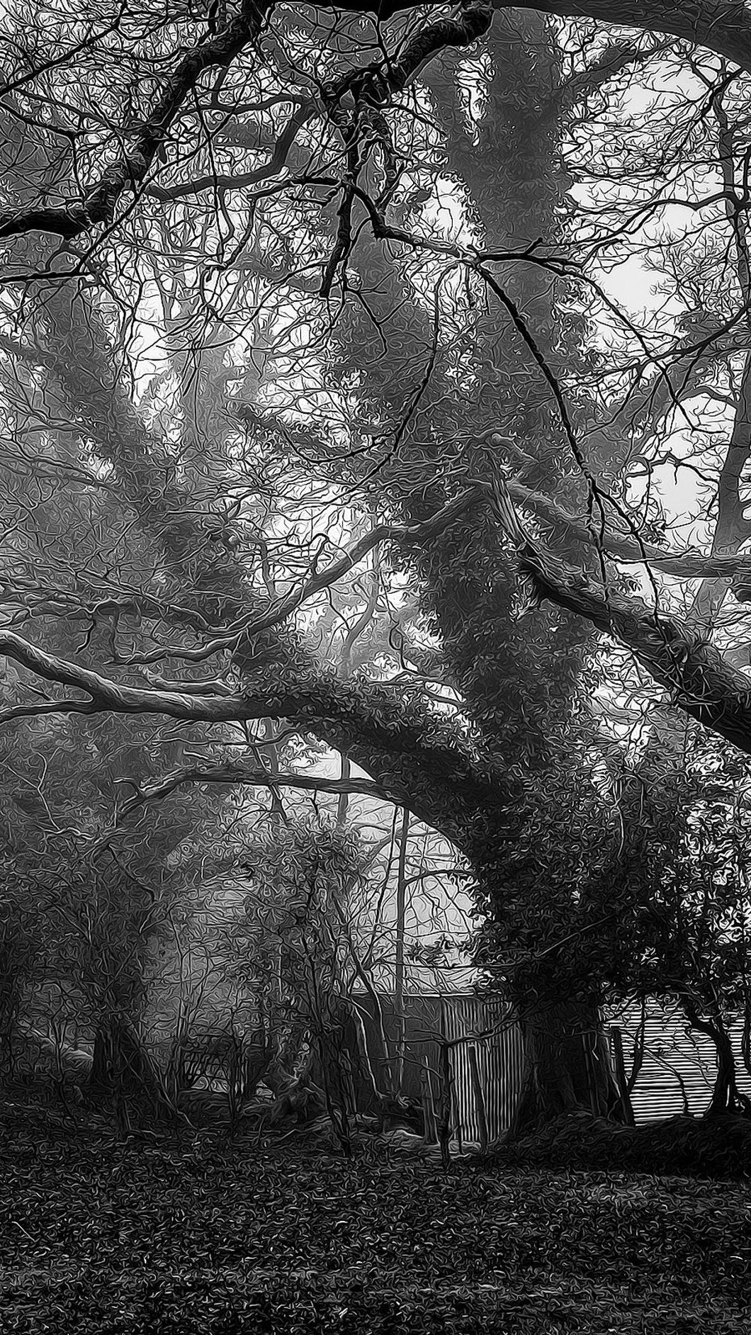 36880356c134ee9e088e93023200dfce9b58dc3f