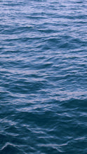 Load image into Gallery viewer, 0adbd84f8c126f70bdea1f61926d26b6ce4a28d0
