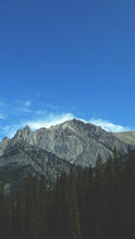 Load image into Gallery viewer, 344112816ec7baab0343b3bf5094bee995eb7dcb

