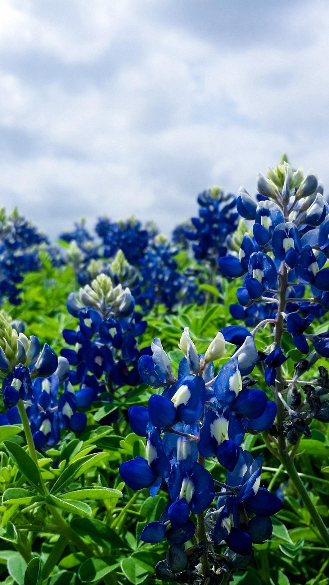 bece249b4936ec3b0efd676680d8f6c9b3810537