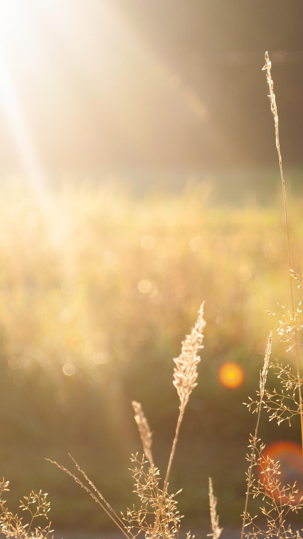 4337101d177545b88edd1d28ad8df96098a33b00