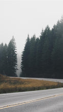 Load image into Gallery viewer, a5d983f35eba49157efcdefc415fd2243c72486d
