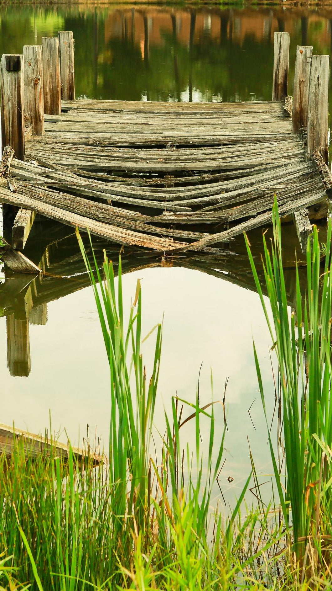 5d91f4c3d1a82132df6c936b7f48c26e77bc7355