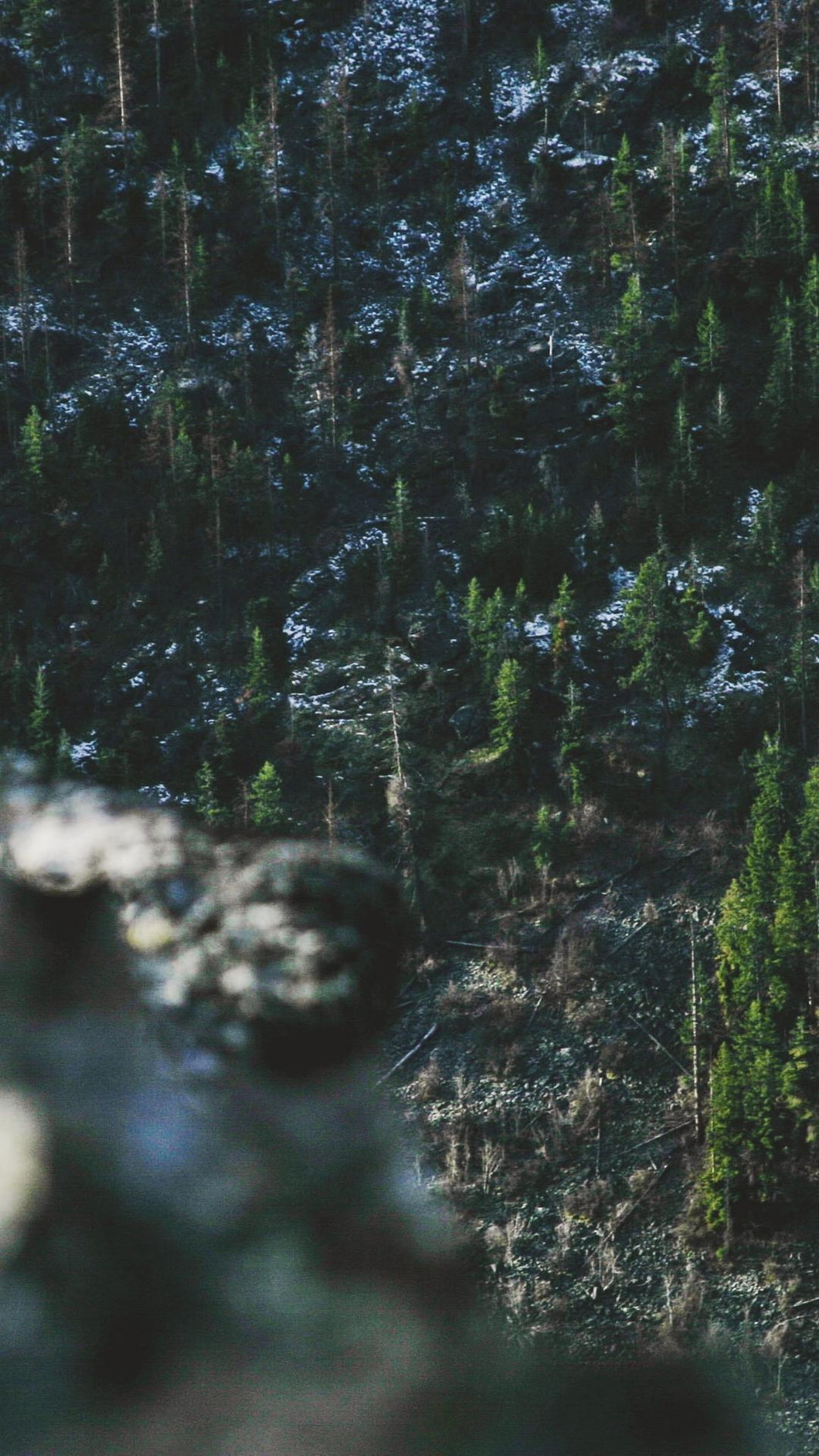 ce82bf24b7a0b89fa662cf799ad868339958b42a