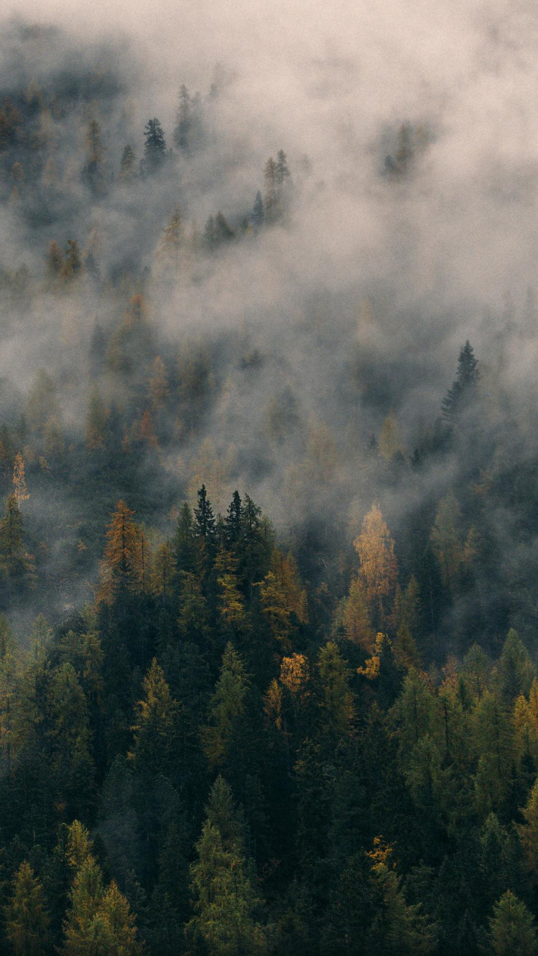 86837652b9ed7d1e32b38c43f261cad60a5a3585