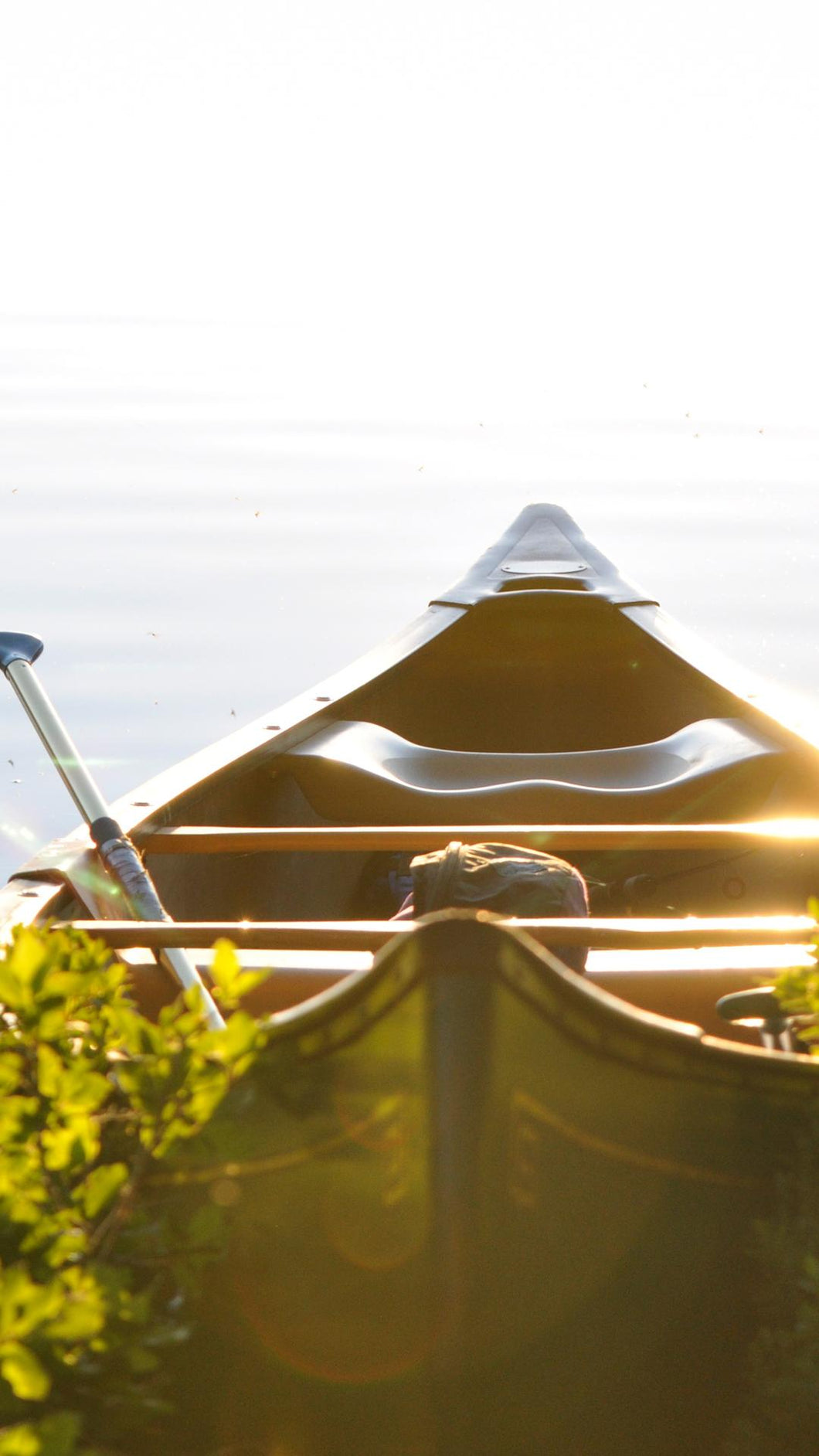 e0cf5231dfdf3d6ca8fd9d664f64c25115ce97d4