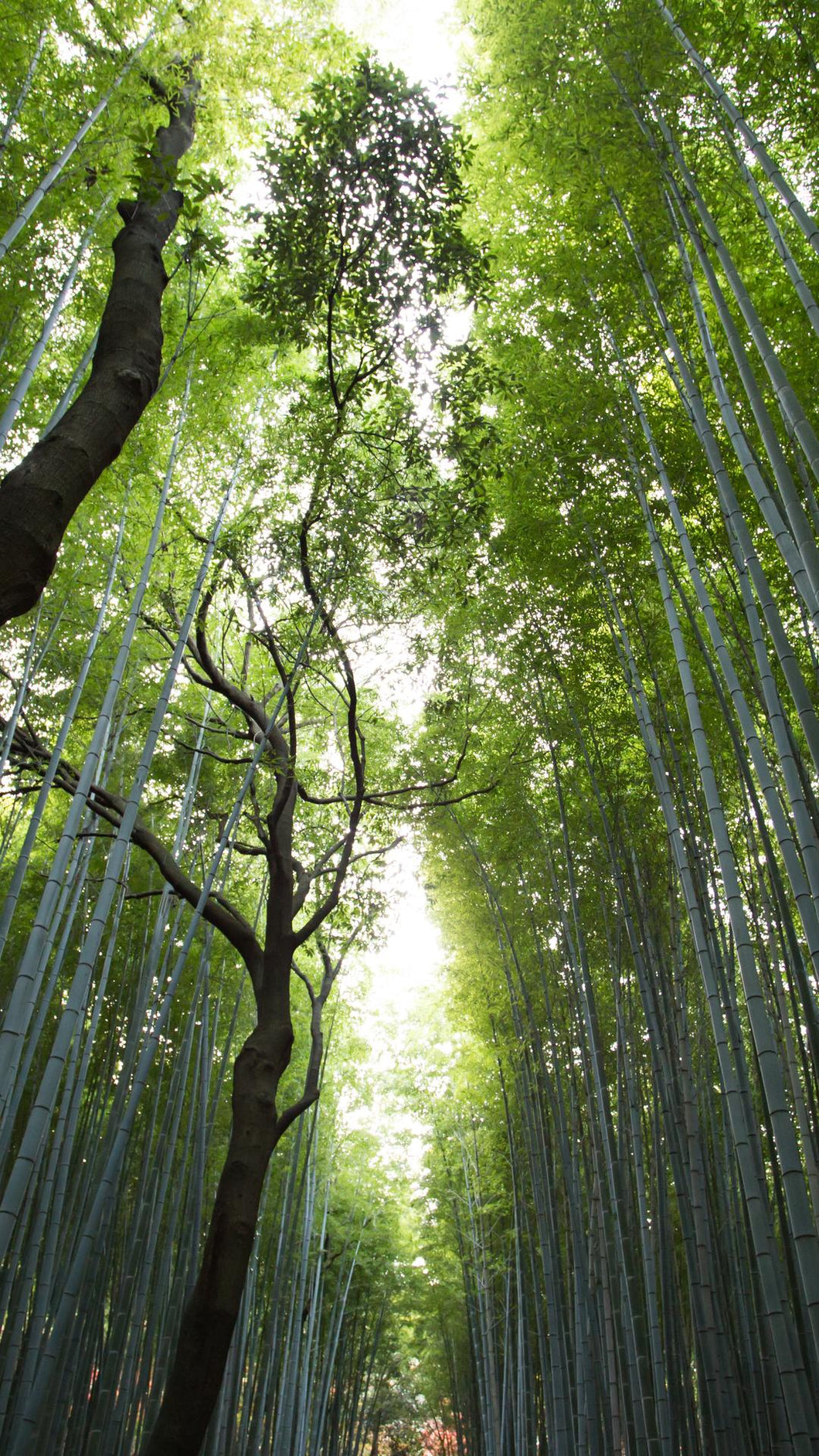 f8d37e9be2c782ccf9cf2cda672f4514700a0a06