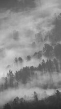 Load image into Gallery viewer, 391ffff148f3e5e30b24774dc87518d2e4a16436

