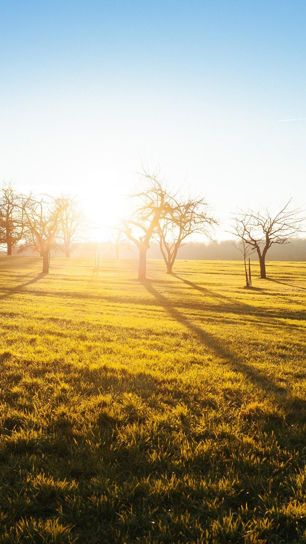 dbcbcd0c66e3869dae0b94a091e4a44c161ffab9