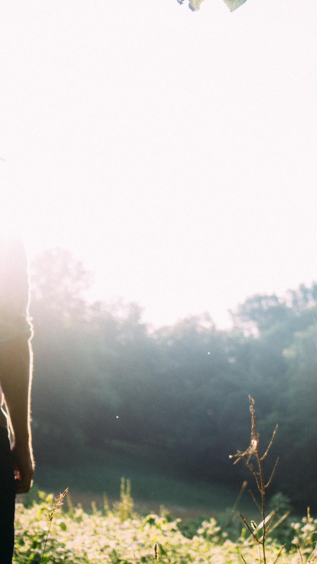 73988ed7da5d4c0812b3d7980a7733bb9fa1f943