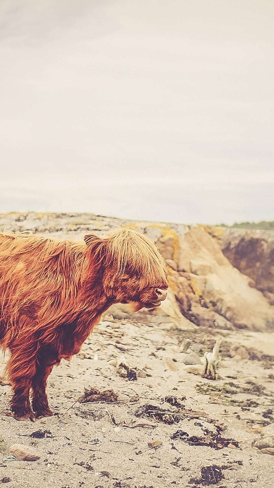 20faa7bd564b77354e3a5d7546df05693968960f