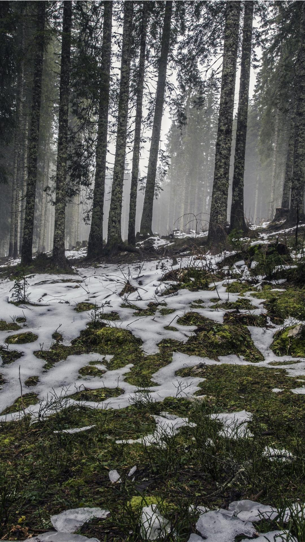 ef16ee1428d397ef85a042d3ae66d75f68a4e5b8