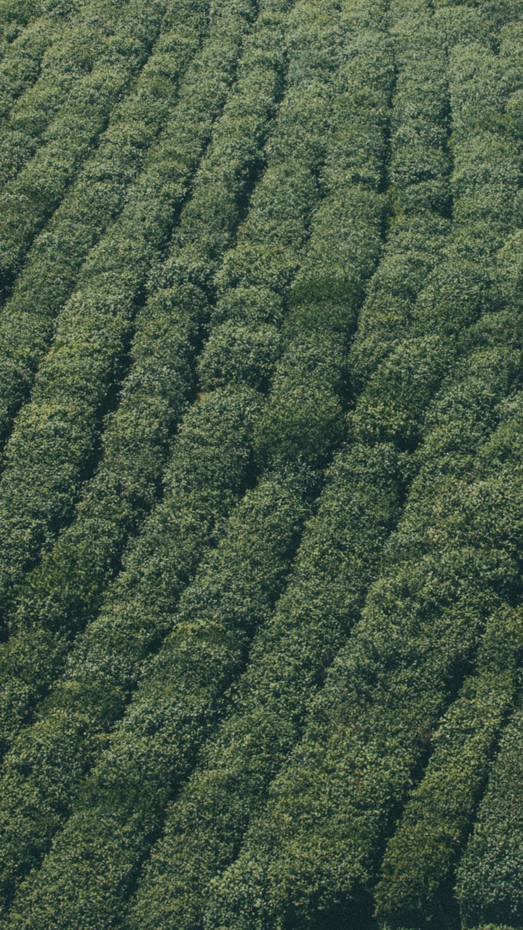 0593d72da0cb64439614f927416a0298777f3549