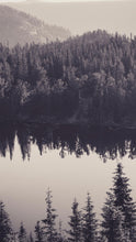 Load image into Gallery viewer, 04e5274969a3b33a8632a4c87452104d0551c151
