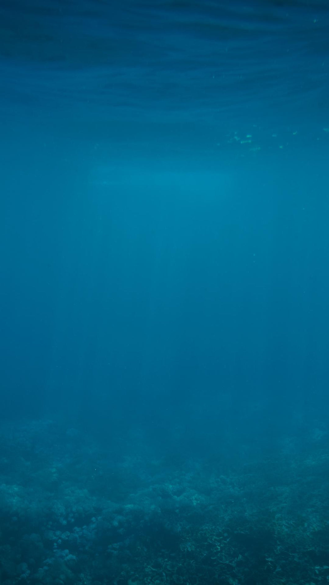 90d26a65a1383086540a57c1e5bede6822fc8c85