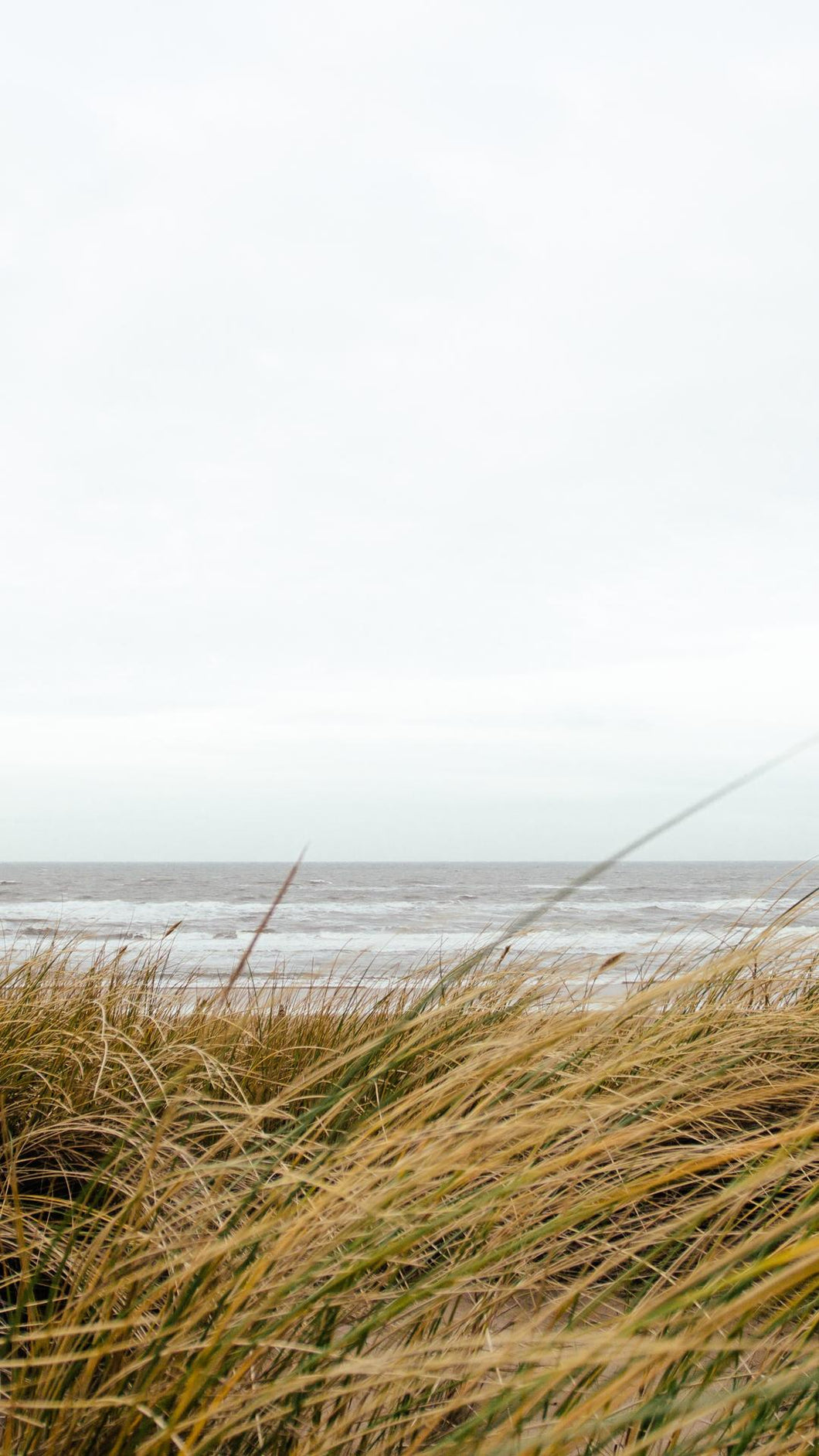 7610f7764f3f3accf67f6db2f5fed554e04007df