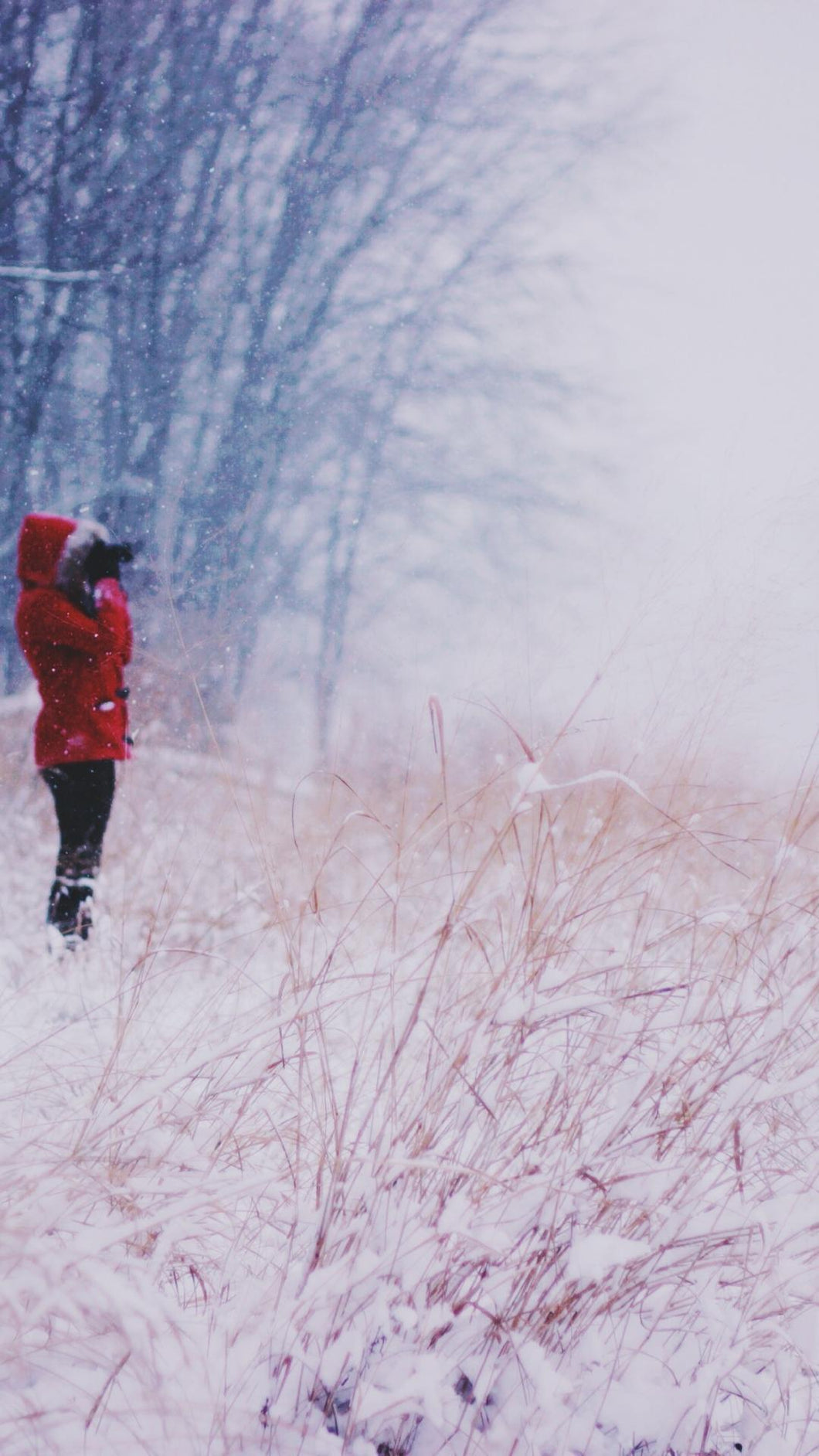 cc7b52b069f8ddd5b8f91391c6af399b5d58b41a