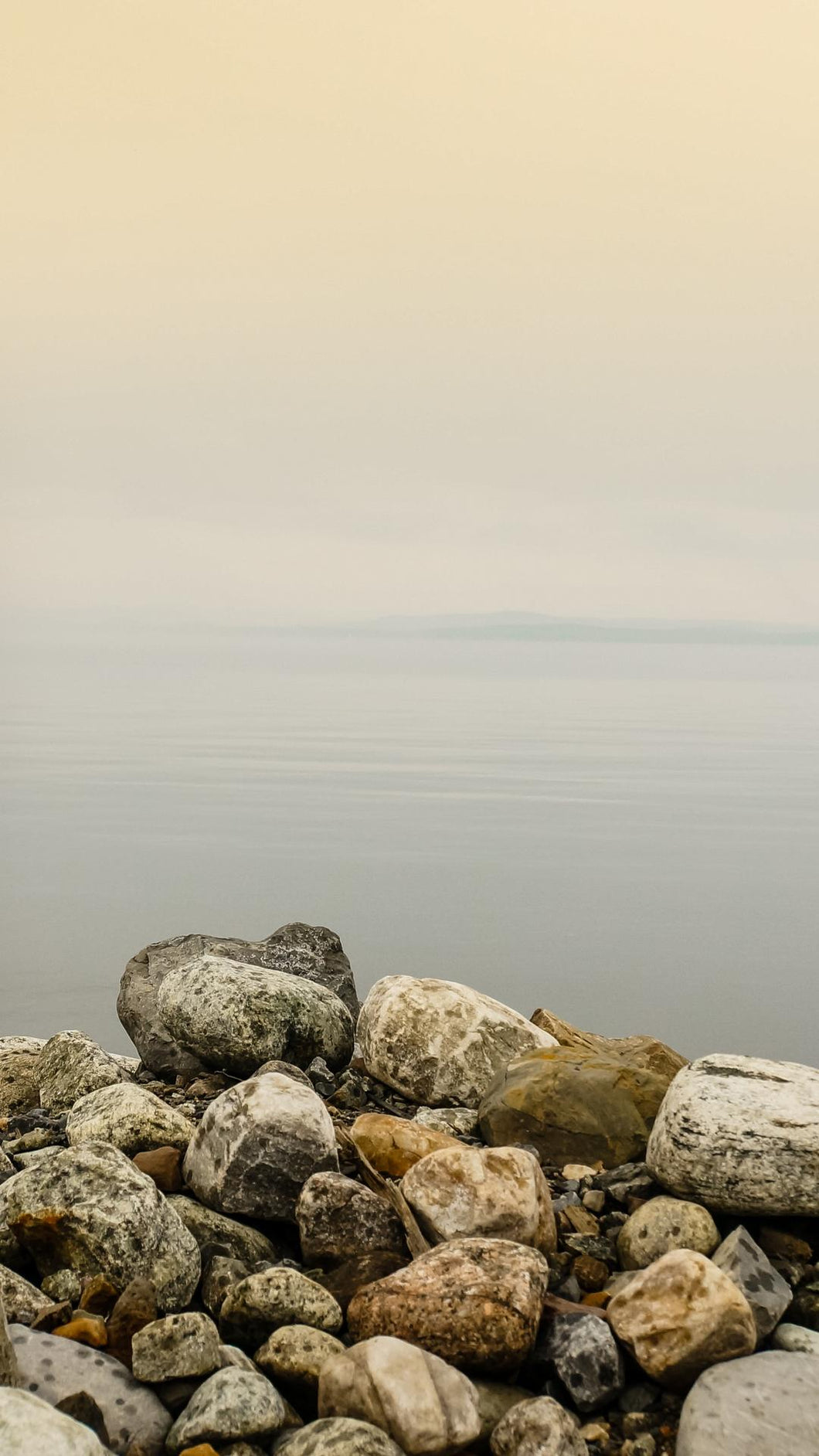 9122089e8d7b3c9c793071f0cd7aa452ce9a8798