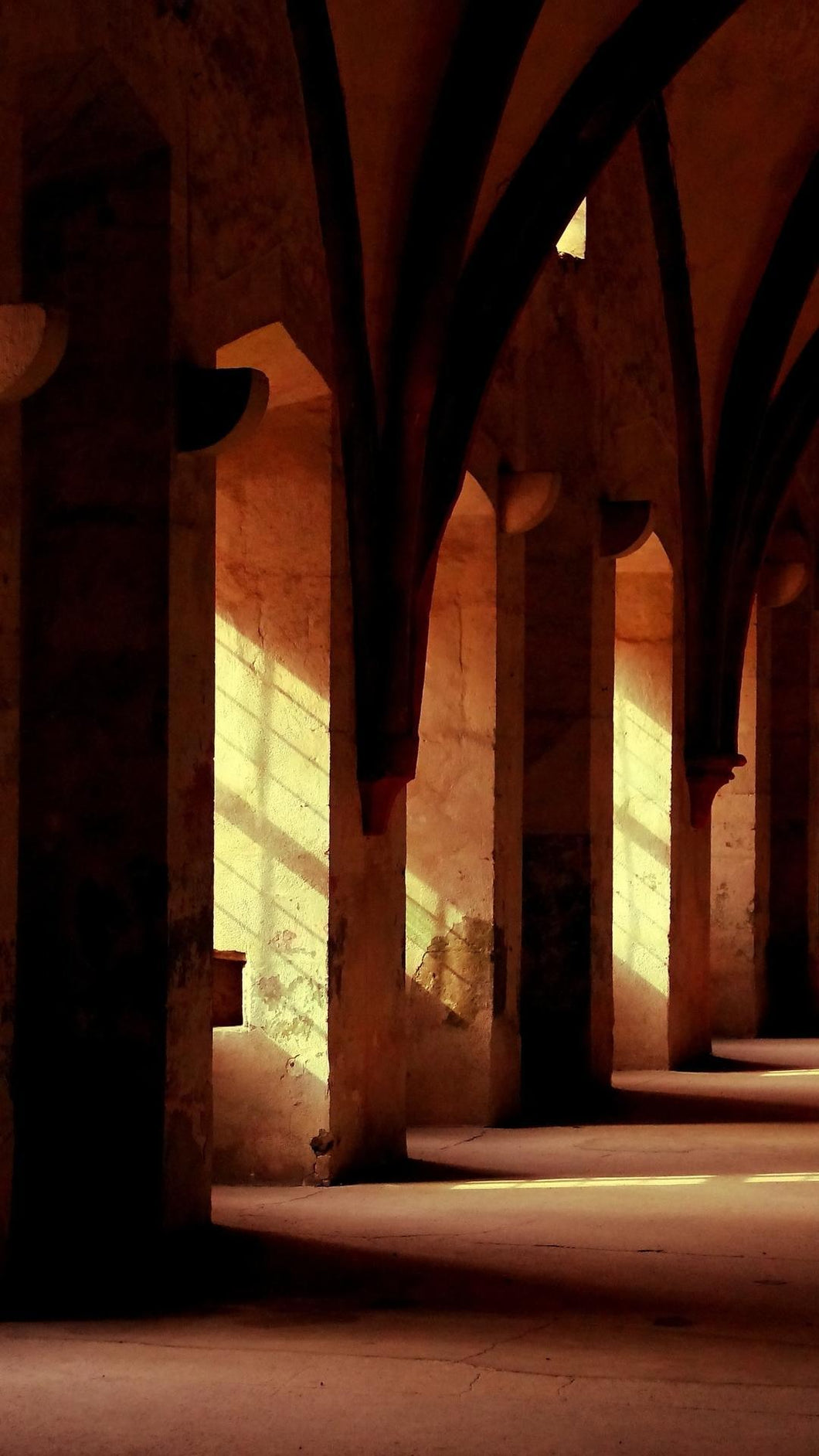 7f5a558ae293a9b34232426db0d546d4c34a6d29