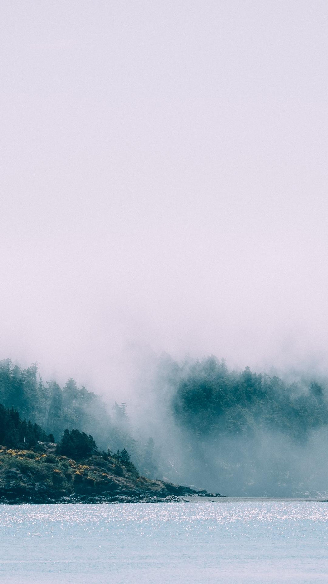 18392ac216a8764fad6a003a80ef676970dbcce6