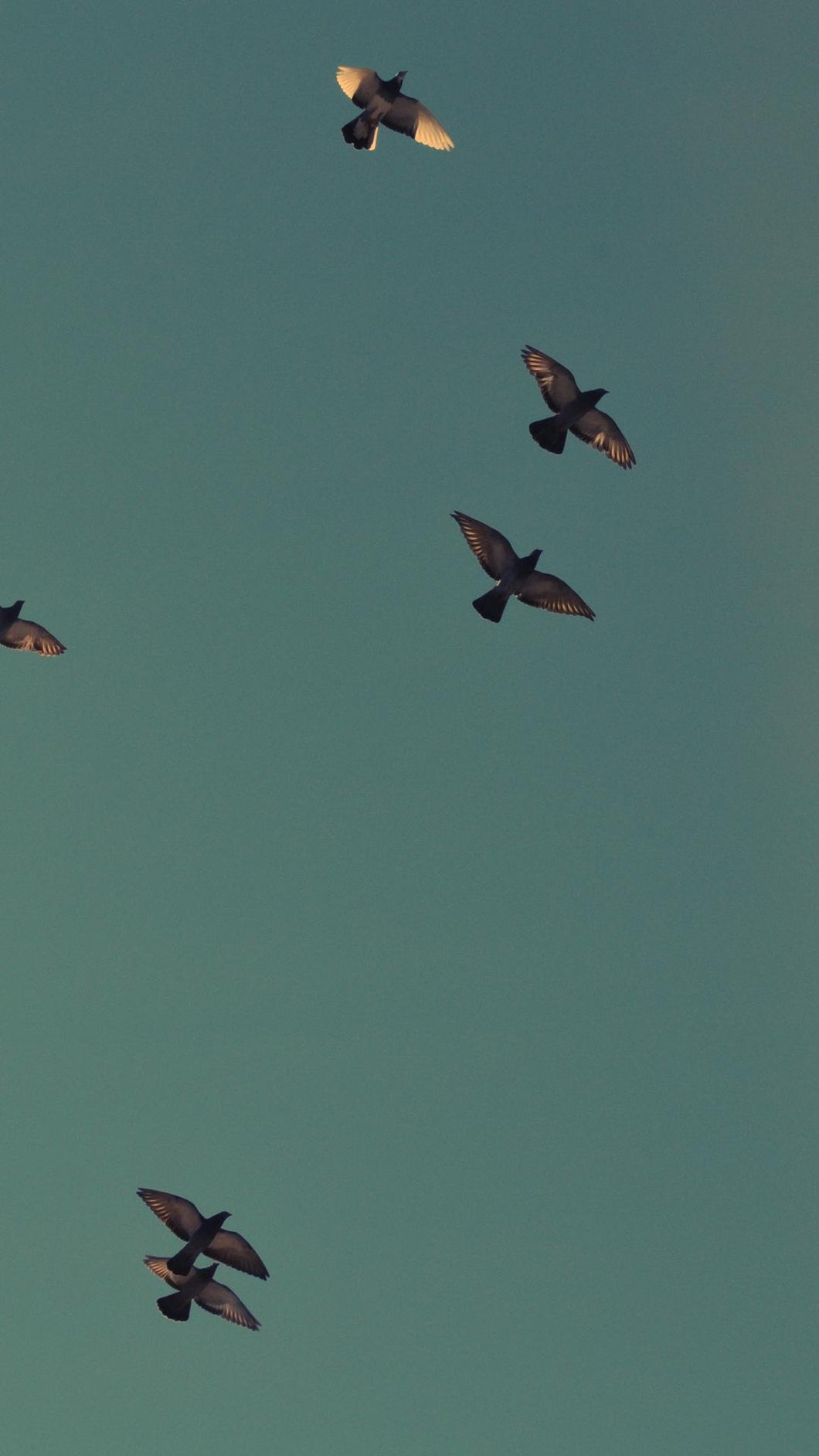 fbb8d9c9fa034c957543639eca56dbde4e87e78a