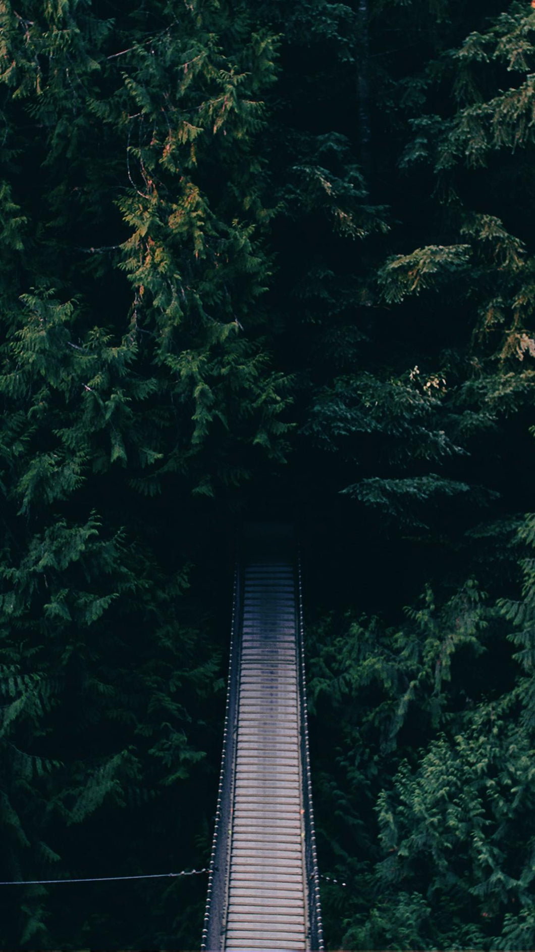 839cfd0f6c5cf0658ca66adfe5f65a43ec3c7986