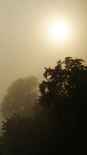 Load image into Gallery viewer, e2a68304dd89a970cbf6b3be9031914766681a1d
