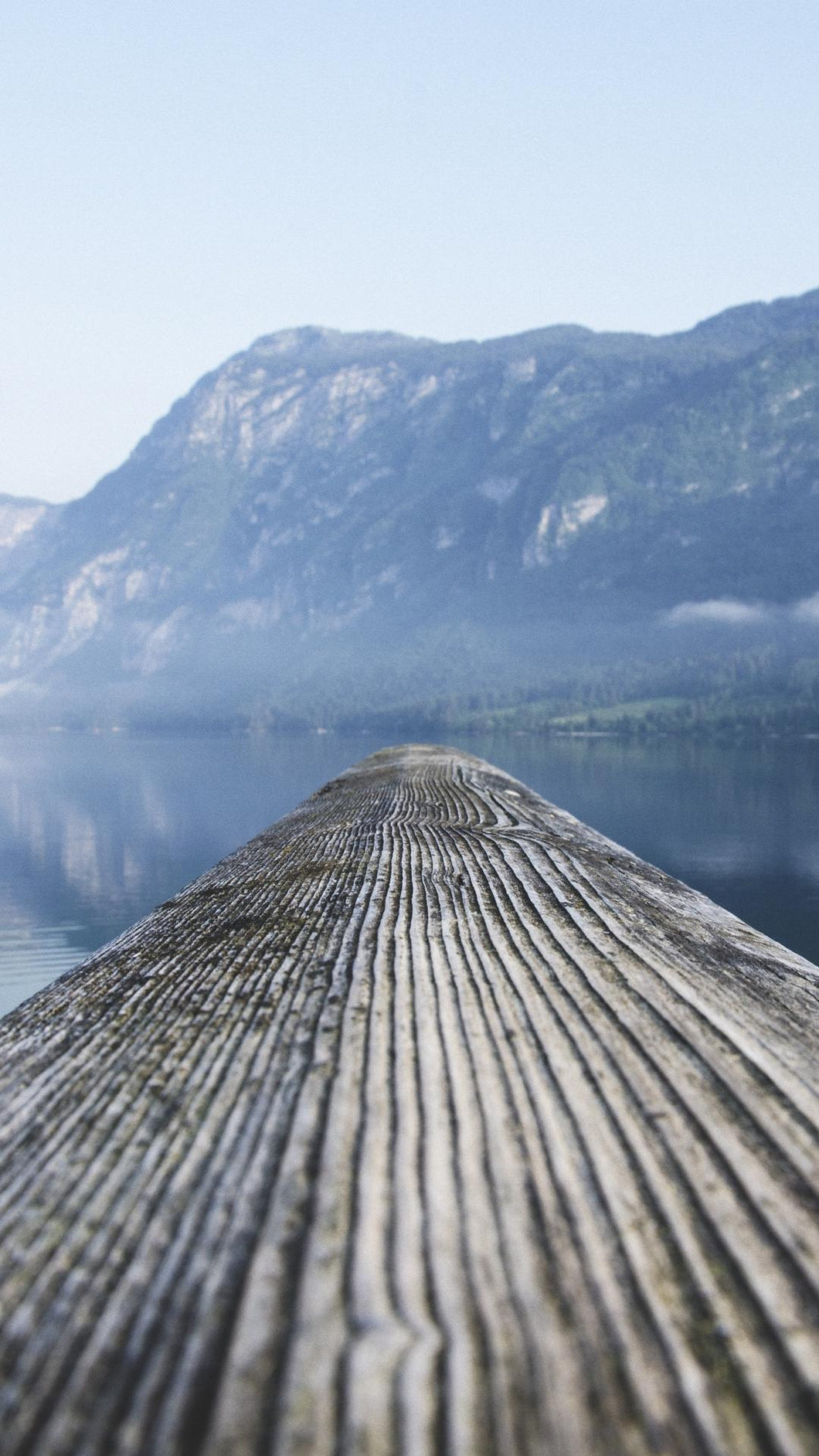 8ed7ce0ac4538d9333a4c1839f987a64861fc947