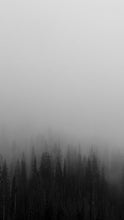 Load image into Gallery viewer, 632dceecad57189ae54d5c80bd99bb563bfd2866

