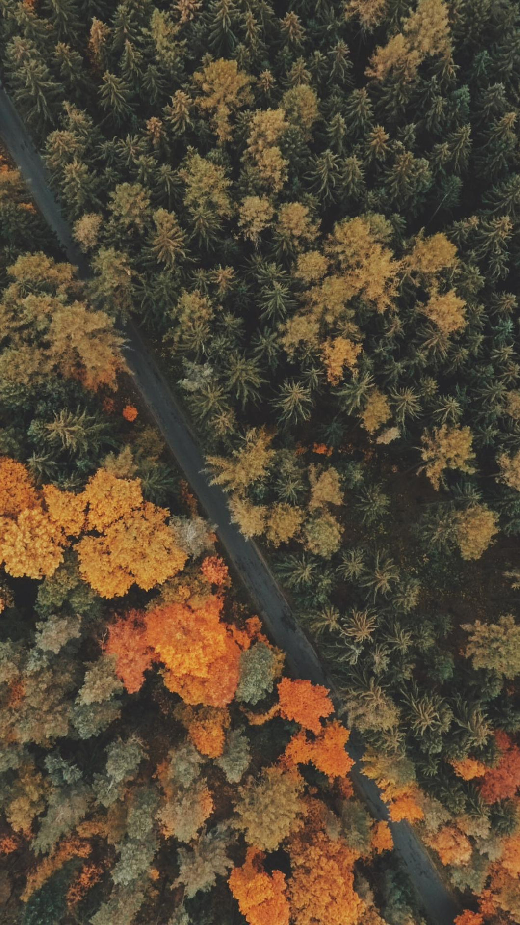 2f264dabb71ca393fbbbd68c57898ba6e21810bb