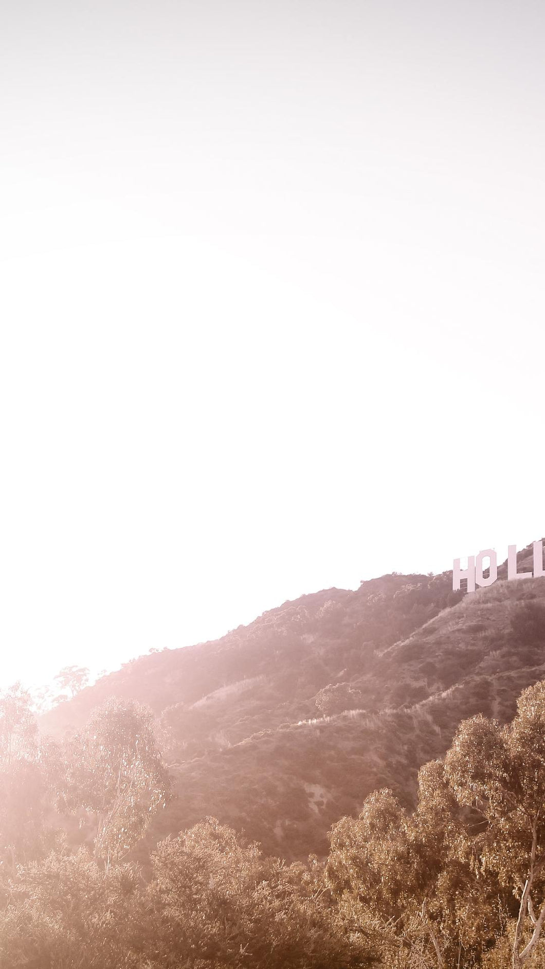 d92f2c0b0e6ebdd2002b3f173e9e433e418e8a7b