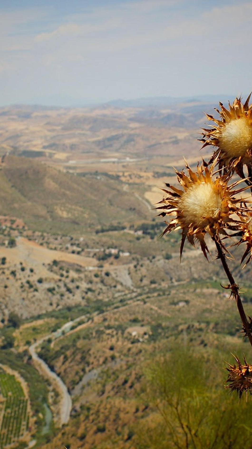 afcc38b042b5f0ba848c00fe628d95dc7621f507