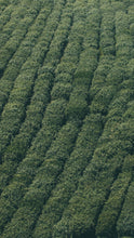 Load image into Gallery viewer, 76a76d450a62b7c3f8aea2ff5a60f4bf934d2626
